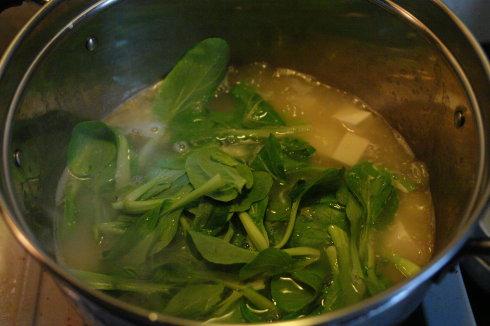 ��ë�˶�����������