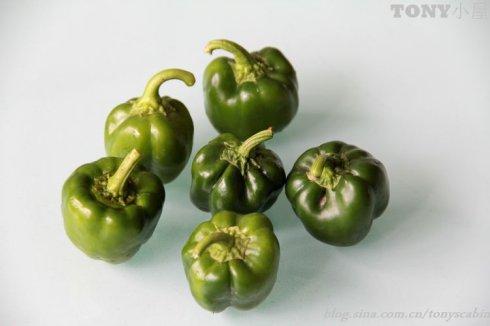 �ཷ���ѵ�����