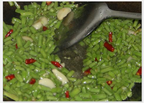 ����ѩ�˵�����