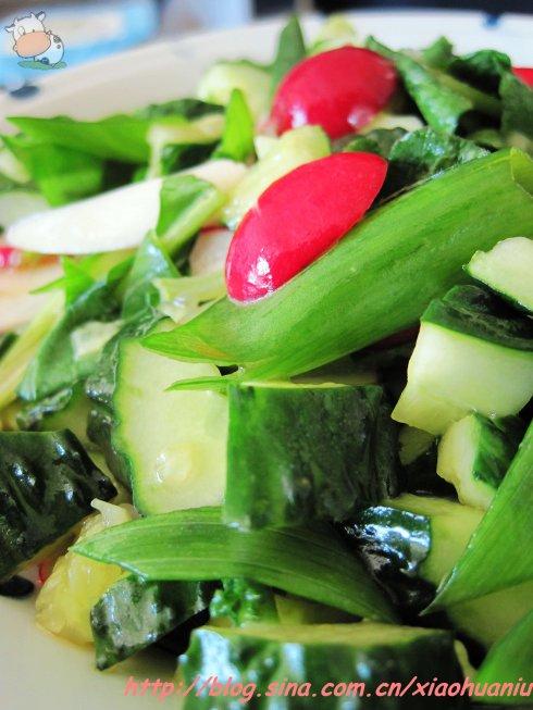 ˬ��С��˵�����