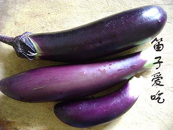 �������ӵ�����