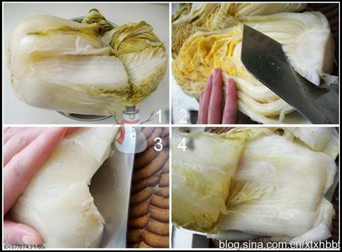 ����Ź���Ѫ��������