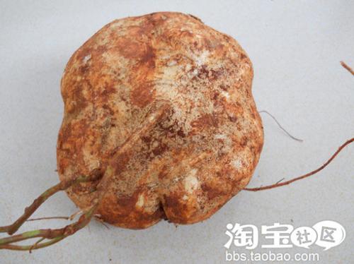 ������Ѽ�������