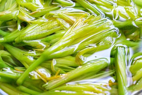 �ƻ��㶹����������