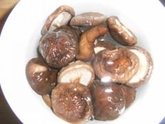 �㹽���������