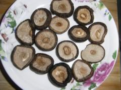 �㹽���������