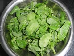 �㹽���������