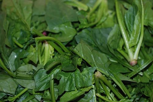 牛肉奶油烧的做法