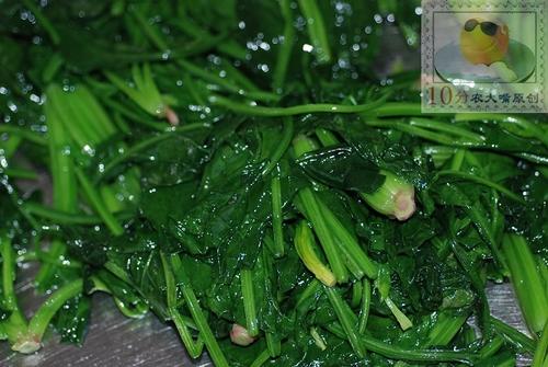 牛肉奶油烧的做法