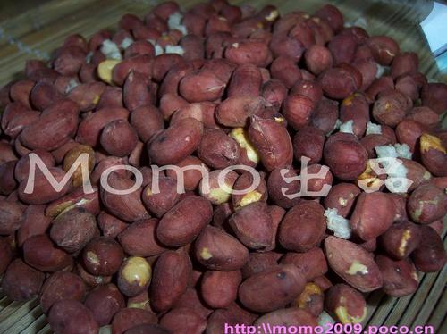 �γ������׵�����