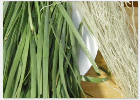 �²˳���˿������