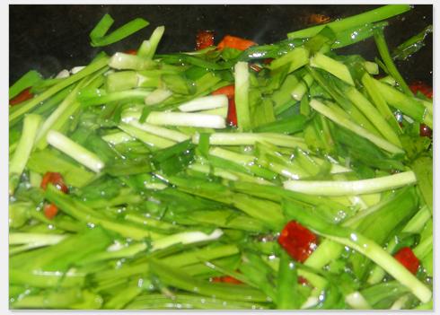 �²˳���˿������