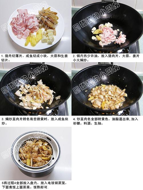 梅香咸鱼蒸猪肉的做法
