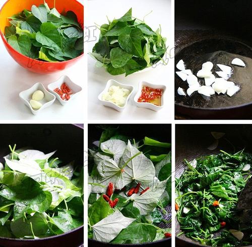 ���غ���Ҷ������