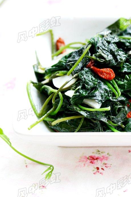 ���غ���Ҷ������