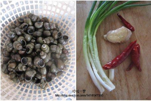 �������ݵ�����