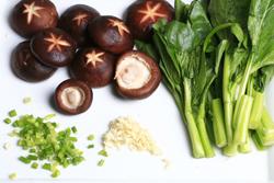 ����㹽���ĵ�����