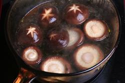 ����㹽���ĵ�����