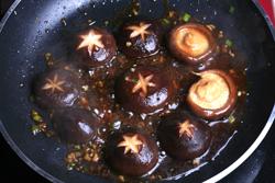 ����㹽���ĵ�����