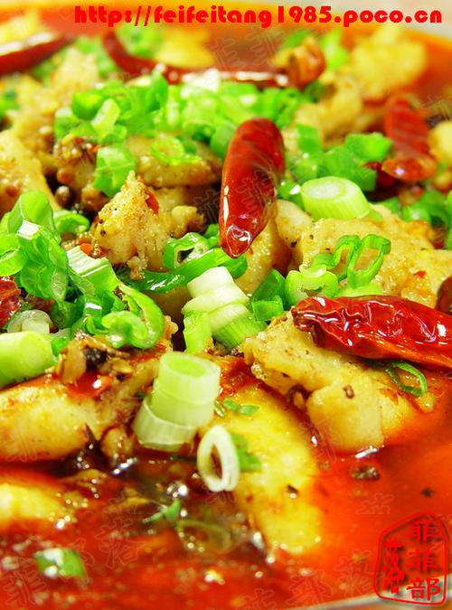 ������Ƭ������