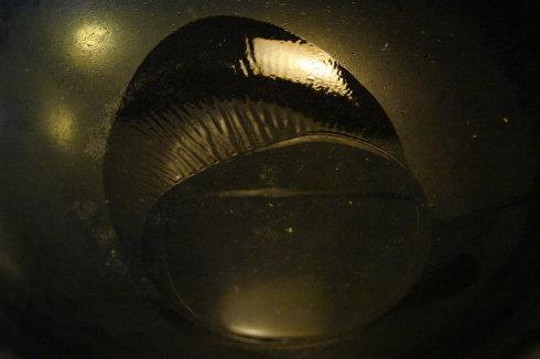 ��˶���������