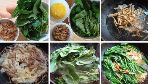 �ƻ�������������