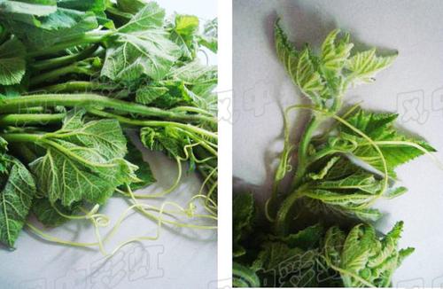 ���Ϲ��ٵ�����