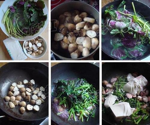 �Ȳ˲ݹ��۶���������