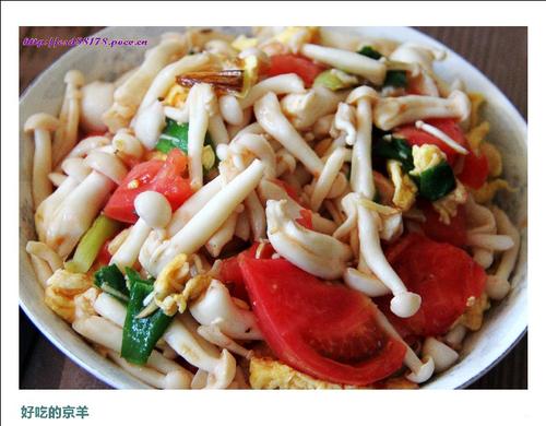 ������񹽵�����