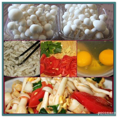 ������񹽵�����