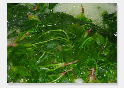 ���貤����������