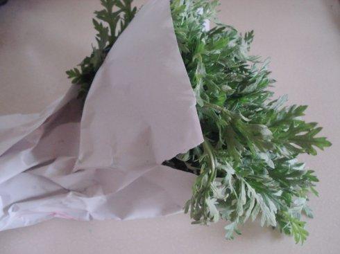 ��ζ�����������