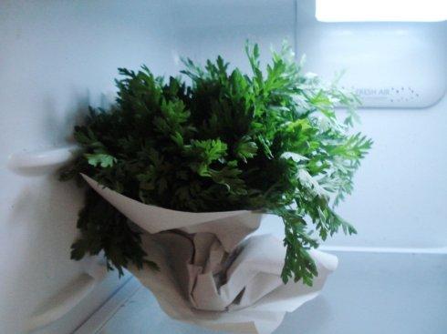 ��ζ�����������