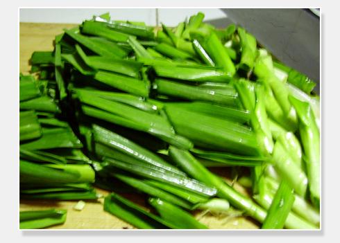 ţ�ǳ����������