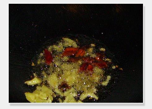 ţ�ǳ����������