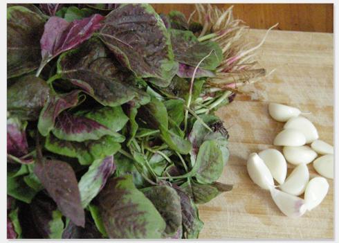 �����Ȳ˵�����