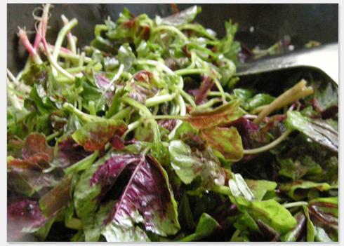 �����Ȳ˵�����