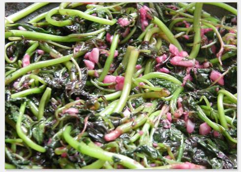 �����Ȳ˵�����