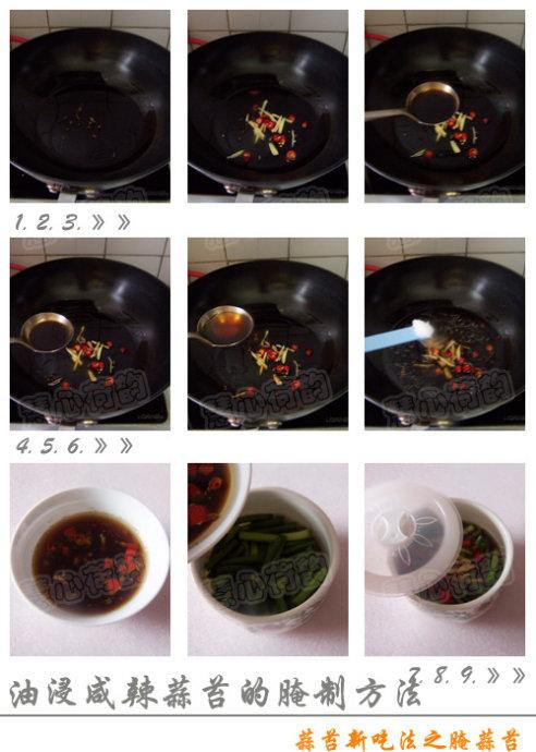 �ͽ�������̦������