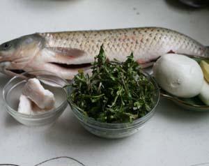 ������Բ������