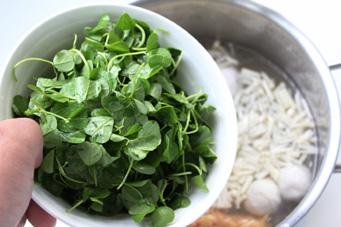 菌菇草头汤的做法