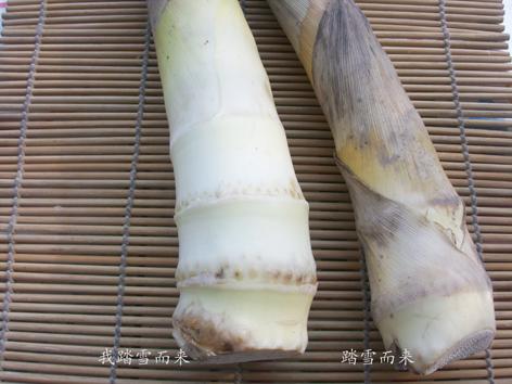 傣味泡椒春笋的做法