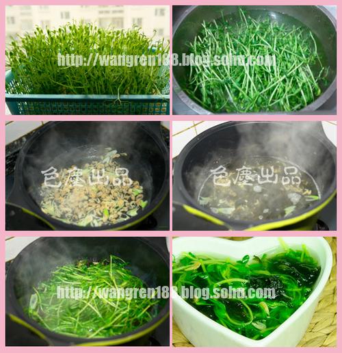 豌豆苗虾皮汤的做法