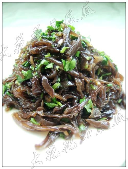 ����ľ��˿������