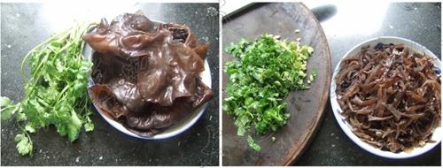 ����ľ��˿������