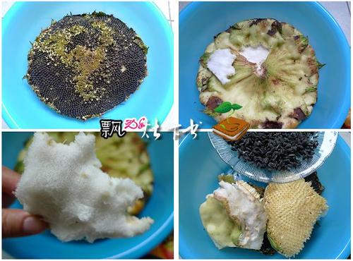 ���տ������Ź���������