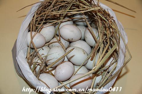 自制咸鸭蛋的做法