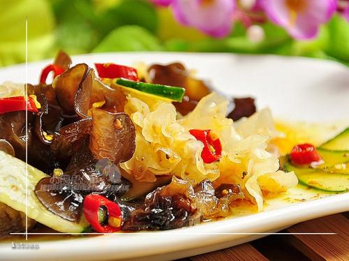 ����˫��������