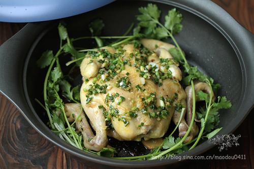 ���㼦������