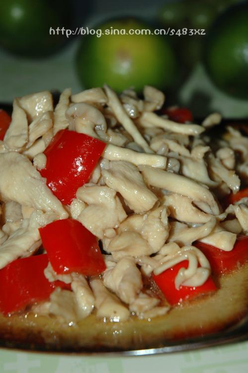 ��������Ƭ������